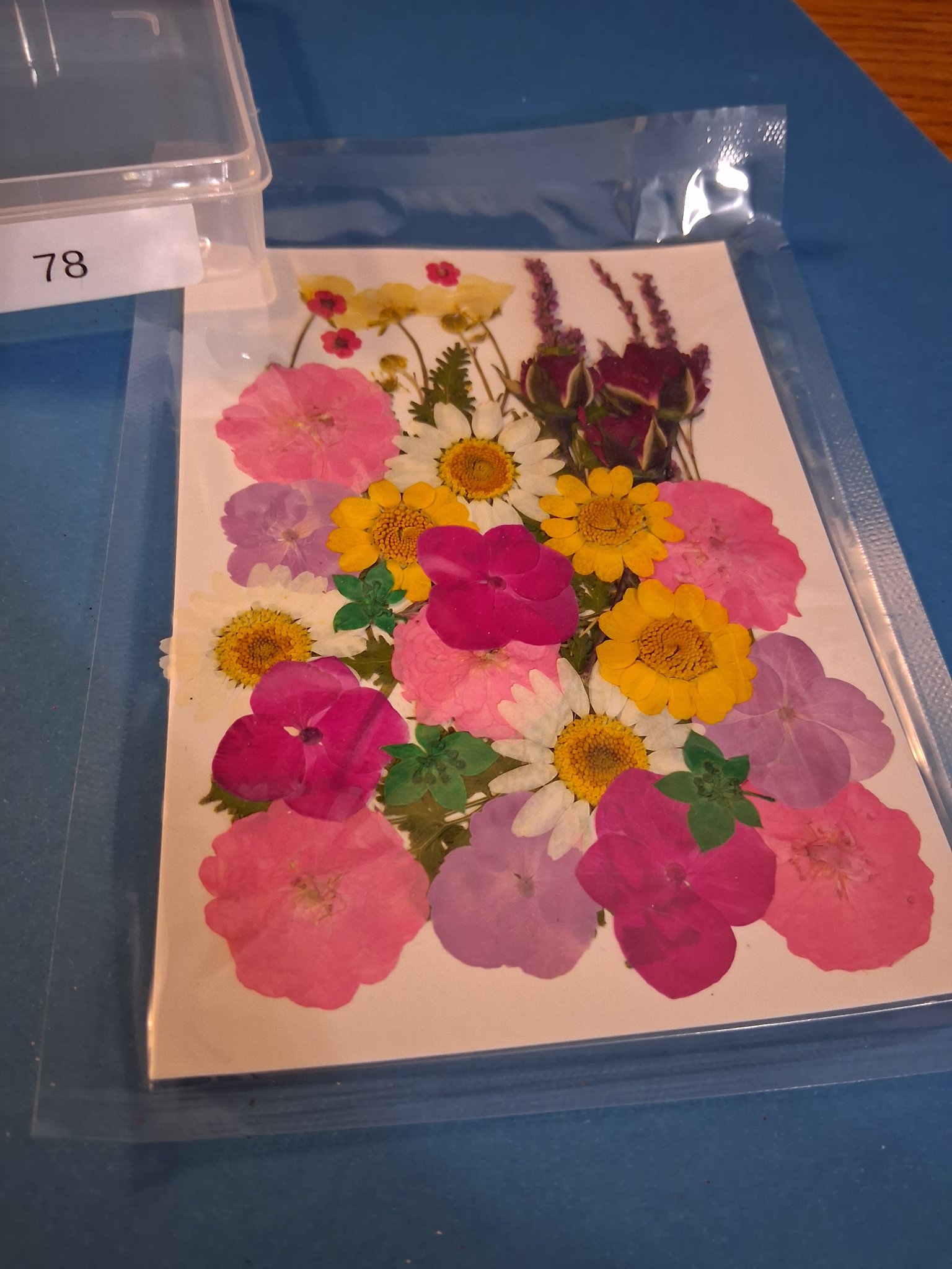 Our Materials — 78B Pressed Flowers (Pink & Yellow)